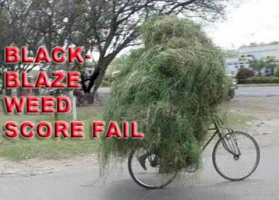 black blaze weed.jpg